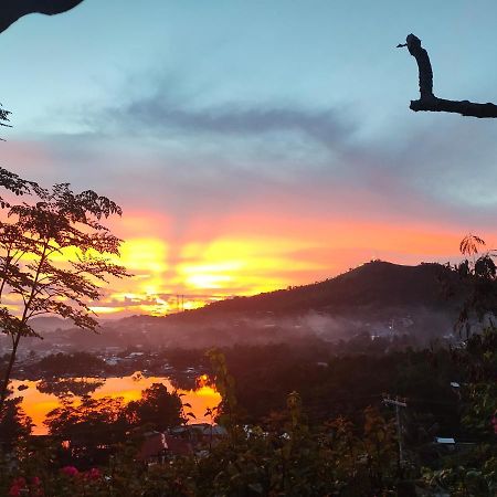 Purple Homestay Hillside 科隆 外观 照片