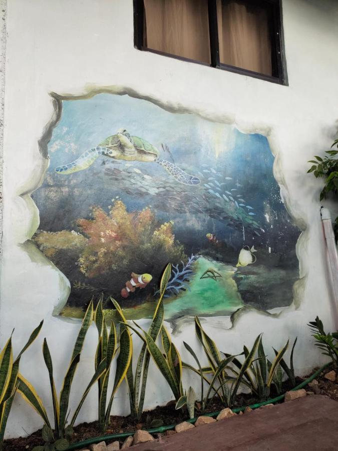 Purple Homestay Hillside 科隆 外观 照片
