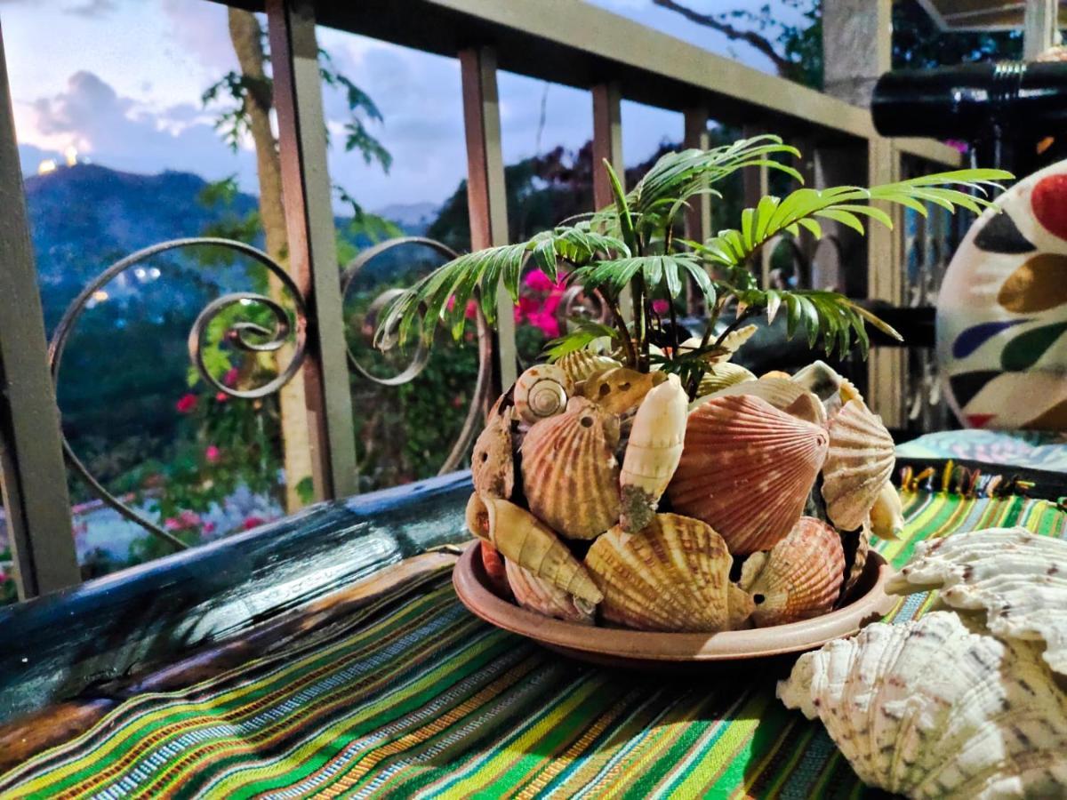 Purple Homestay Hillside 科隆 外观 照片