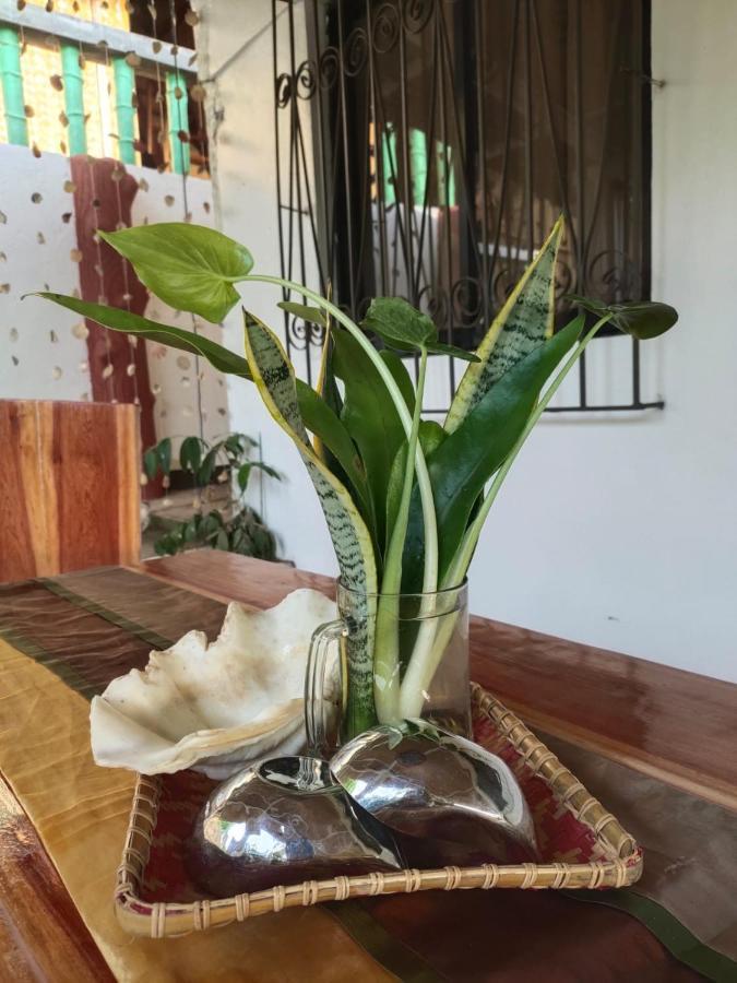 Purple Homestay Hillside 科隆 外观 照片